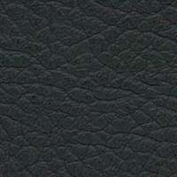 Pelle P815