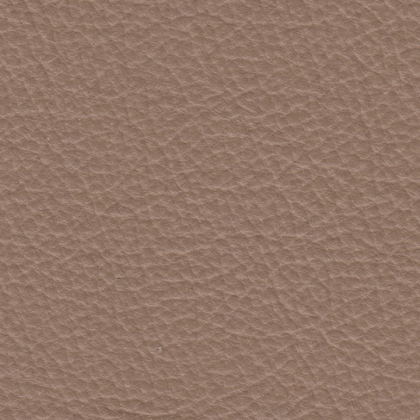 Pelle 0142