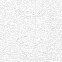 Pelle Sc. 03 Zinco