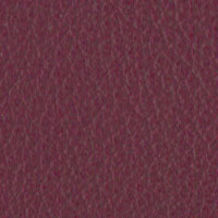 Pelle Sc. 267 Melanzana