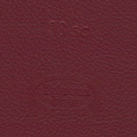Pelle Sc. 98 Ribes