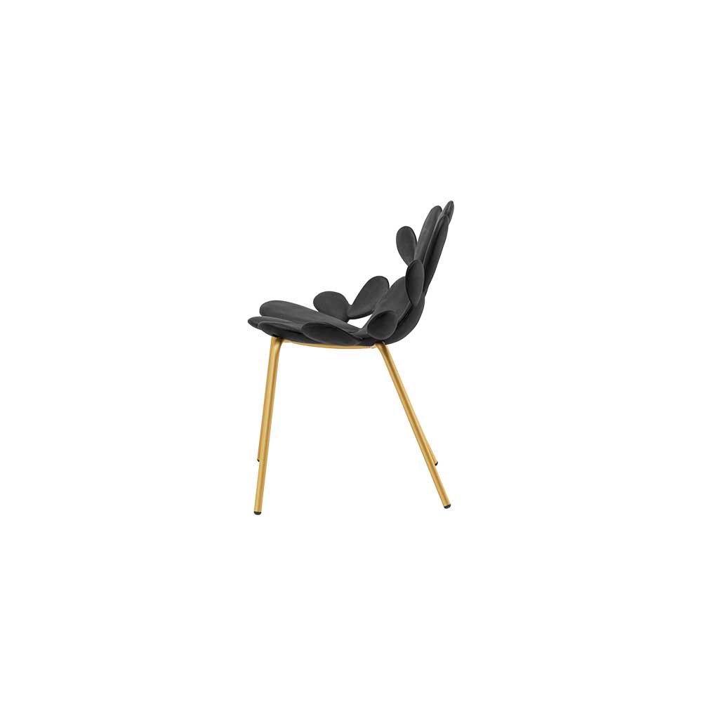 02b-qeeboo–piero-fasanotto-michele-branca–filicudi-chair–design-marcantonio–black-brass