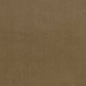 Web W6221