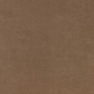 Web W6224