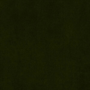Web W6242