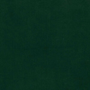 Web W6244