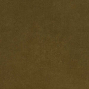 Web W6254