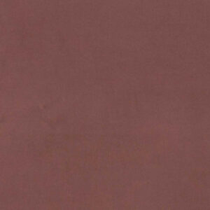 Web W6263
