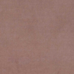 Web W6273
